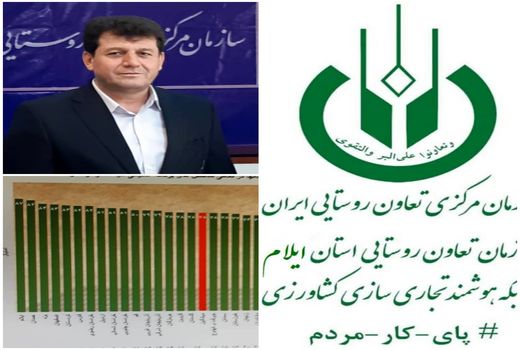 کسب رتبه نخست ملی در ارزیابی عملکرد توسط مدیریت تعاون روستایی استان ایلام