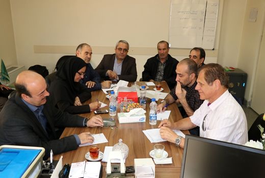 تولید بیش از 80 هزار تن دانه‌های روغنی در اردبیل