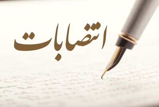 مجری طرح زیتون منصوب شد