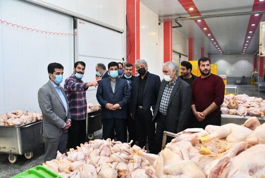 تکمیل حلقه‌ها و زنجیره‌ تولید در صنعت دام وطیور گامی مهم در راستای تامین امنیت غذایی و توسعه پایدار 