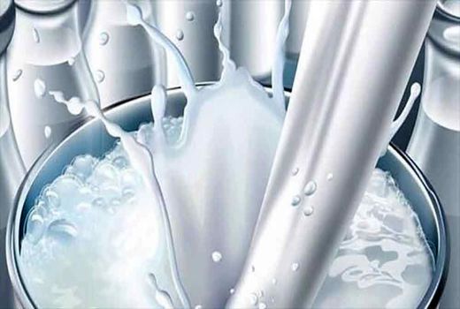 شیر تولیدی در اصفهان ۲ و نیم برابر مصرف سالانه هر اصفهانی است