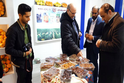 جنوب کرمان، رتبه نخست توسعه گلخانه‌های کشور 