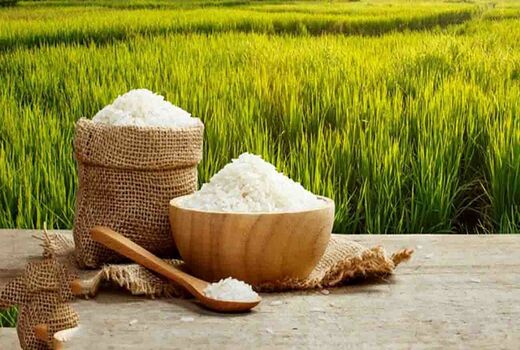 برای اولین بار برنج مازندران نشان سلامت تات را کسب کرد