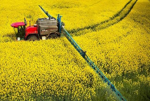 برگزاری کارگاه آموزشی شناسایی و مدیریت علف‌های هرز در مزارع کلزا و گندم در شهرستان ارزوئیه