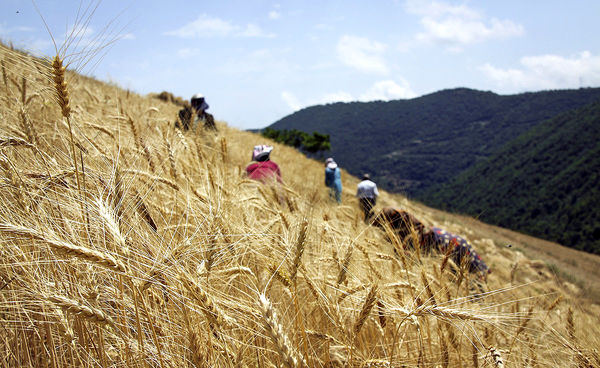 نابودی کشاورزی‌ سنتی با تغییرات آب‌وهوایی
