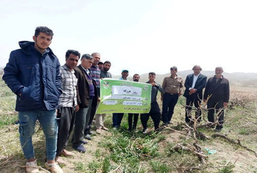 باغداران شهرستان تاکستان با اصول هرس باغهای انگور آشنا شدند