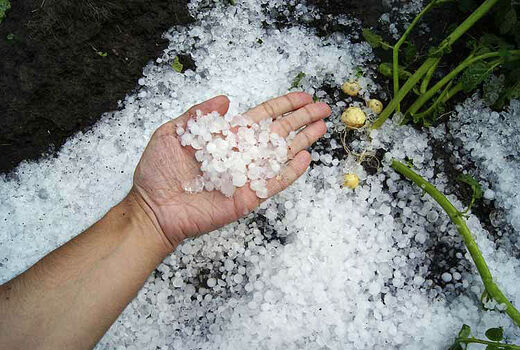 تگرگ در راه است