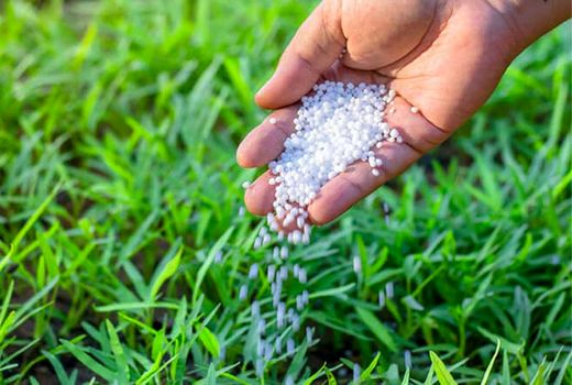 سازمان غذا و کشاورزی: افزایش قیمت‌های کود بحران غذا را وخیم‌تر می‌کند