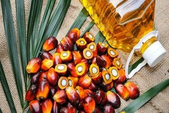 اصلاح الگوی مصرف غذایی با افزایش آگاهی