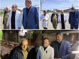 موانع تأمین به‌موقع نهاده‌های دامی رفع شده است/ تداوم روند تولید پایدار گوشت سفید
