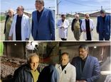 موانع تأمین به‌موقع نهاده‌های دامی رفع شده است/ تداوم روند تولید پایدار گوشت سفید