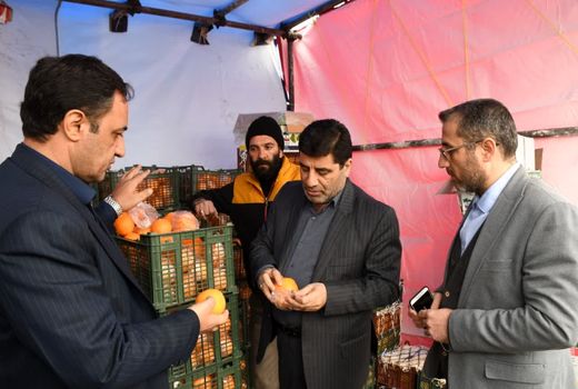 عرضه مستقیم میوه نوروزی در آذربایجان شرقی با 15 درصد زیر قیمت بازار