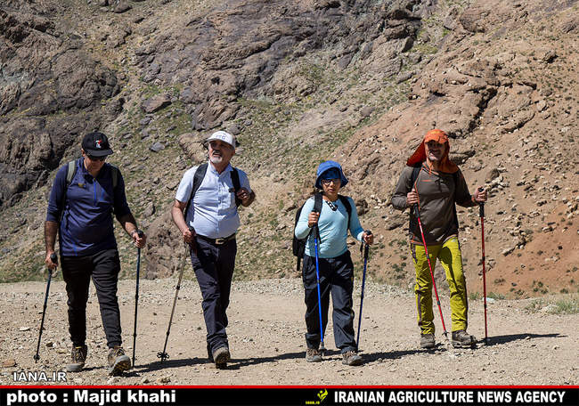 کوه پیمایی