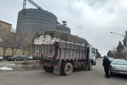 ارسال۱۰ تن سبوس گندم توسط جهاد کشاورزی زنجان ُبرای دامداران آسیب دیده از زلزله‌ خوی