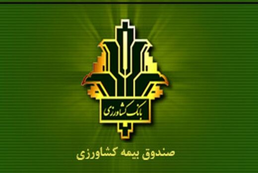 افزایش 140 درصدی غرامت پرداختی به کشاورزان خسارت دیده / جهش ۱۵۰ درصدی تعهدات بیمه گندم/ پوشش 100 درصدی 6.5 میلیون هکتار گندمزار