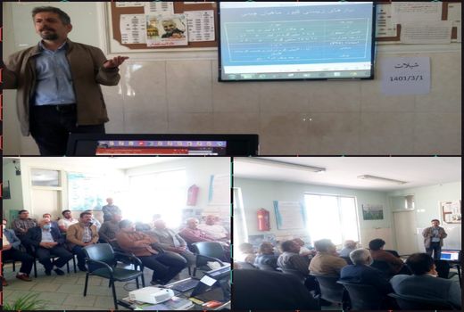 بهره برداران شهرستان قزوین با روش های نوین پرورش ماهی در استخر آشنا شدند