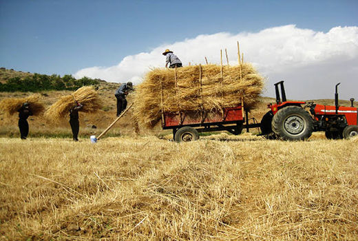عضویت حدود 94 هزار نفر در تعاونی های روستایی چهارمحال و بختیاری 