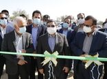 بهره برداری از ۱۴ گلخانه در شهرستان پارسیان هرمزگان