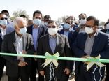 بهره برداری از ۱۴ گلخانه در شهرستان پارسیان هرمزگان