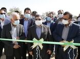 بهره برداری از ۱۴ گلخانه در شهرستان پارسیان هرمزگان