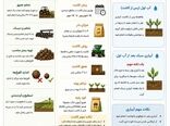 آماده سازی خاک، کاشت و آبیاری کلزا استان قزوین