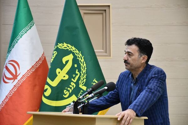اختصاص 115 هزار هکتار از مزارع  آذربایجان شرقی به کشت نباتات علوفه‌ای اصلاح شده در سال جاری