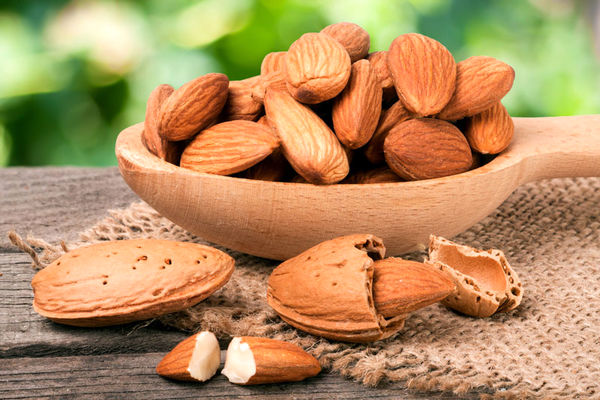 فرصتهای سرمایه گذاری در بخش کشاورزی چهارمحال و بختیاری مهیا است