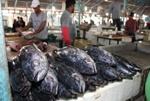 تولیدات آبزیان در ایلام به ۱۰ هزار و ۵۰۰ تن افزایش می‌یابد