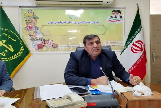 اجرای رفع تداخلات در 64 درصد اراضی کشور