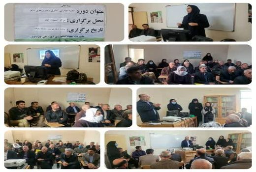 برگزاری دوره مهارتی کنترل بیماری های دام در شهرستان چرداول استان ایلام