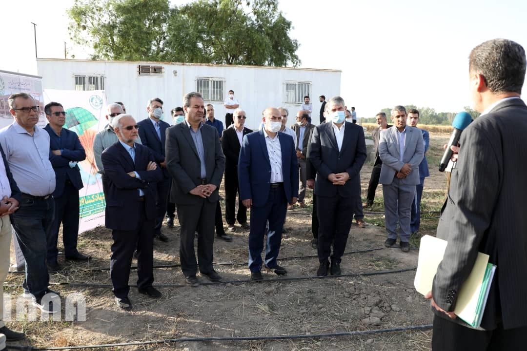 WhatsApp Image 2022-06-14 at 10.06.25 AM (1)