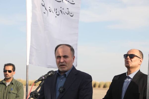 ۲۵ درصد خرمای کشور در خوزستان تولید می‌شود

