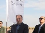 ۲۵ درصد خرمای کشور در خوزستان تولید می‌شود

