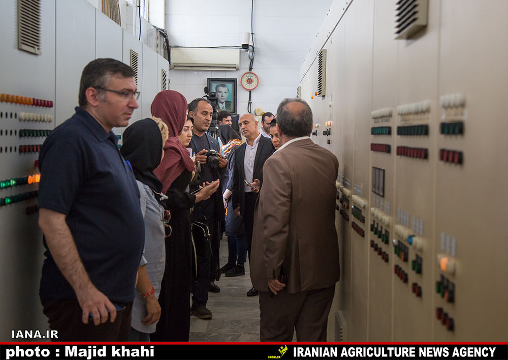 بازدید از کارخانه آرد