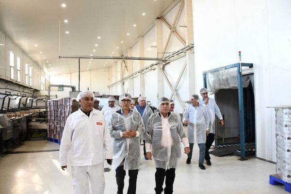 آغاز کار مدرن‌ترین گوسفند‌داری کشور 