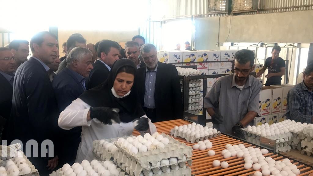 بازدید و بهره برداری پروژه های بخش کشاورزی در سفر وزیر جهاد کشاورزی به استان فارس