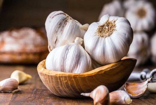 پایان برداشت سیر در دزفول