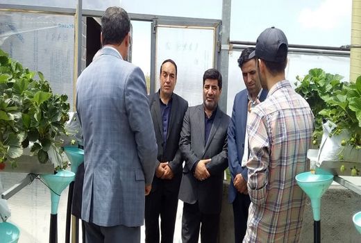 گلخانه‌های هیدروپونیک مصرف آب را به حداقل می‌رساند