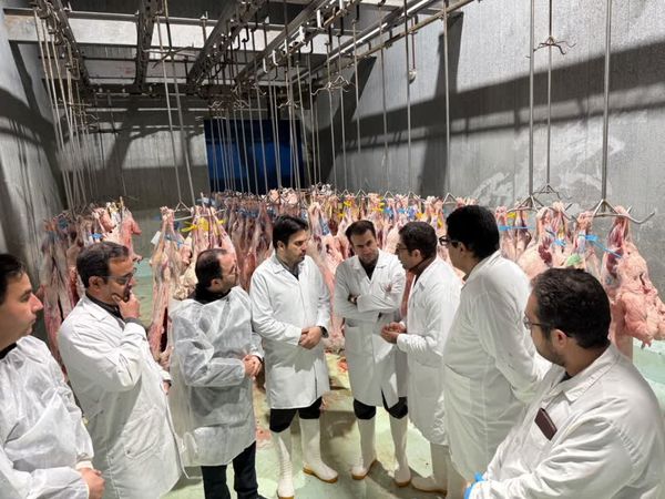 تداوم خدمت‌رسانی دامپزشکی استان آذربایجان شرقی در شرایط جنگ رمضان