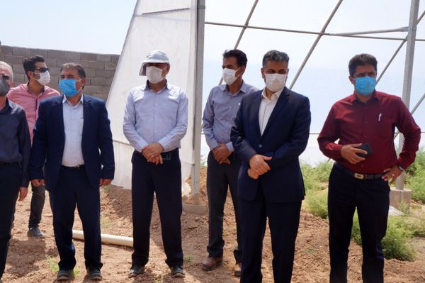 بازدید مشاور وزیر جهاد کشاورزی از مجتمع گلخانهای در آرادان