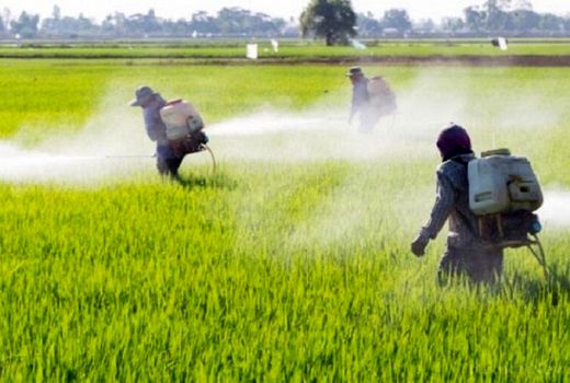 هشدار درمورد مصرف بیش از حد سموم کشاورزی در اصفهان