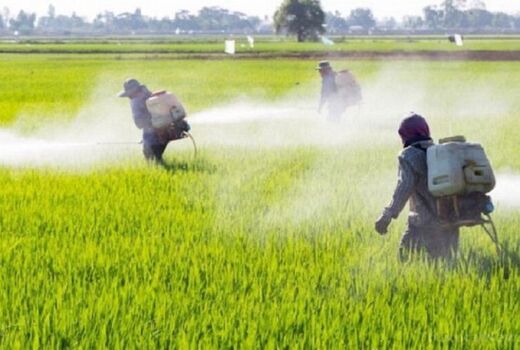 هشدار درمورد مصرف بیش از حد سموم کشاورزی در اصفهان