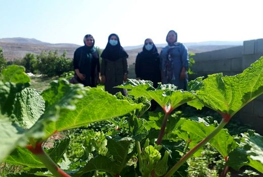 طرح ترویج و آموزش تغذیه سالم در جامعه زنان روستایی در استان سمنان پیگیری می‌شود