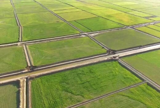 تثبیت مالکیت اراضی کشاورزی شتاب گرفت/ رفع تداخل ۹۲ درصدی

