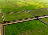 تثبیت مالکیت اراضی کشاورزی شتاب گرفت/ رفع تداخل ۹۲ درصدی

