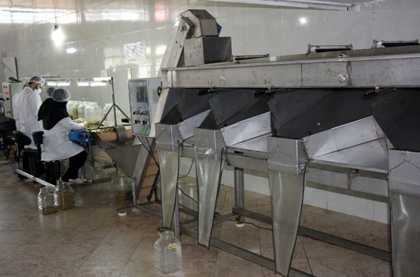 سرمایه گذاری 940 میلیارد ریالی در صنایع تبدیلی و تکمیلی چهارمحال و بختیاری 