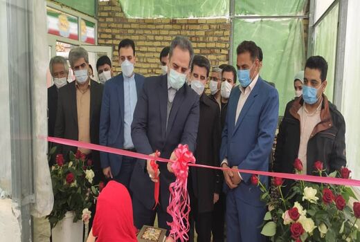 افتتاح گلخانه ۵ هزار متر مربعی در دهستان درود فرامان