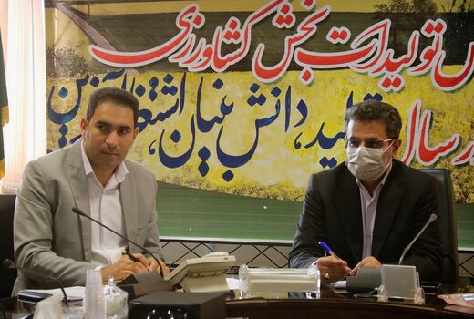 باید اولویت خرید خرما در استان با کارگاه داران و بخش خصوصی باشد 