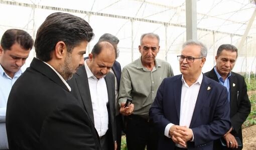 لوتوس؛ از تولید گلخانه‌ای تا تکمیل زنجیره ارزش و صادرات