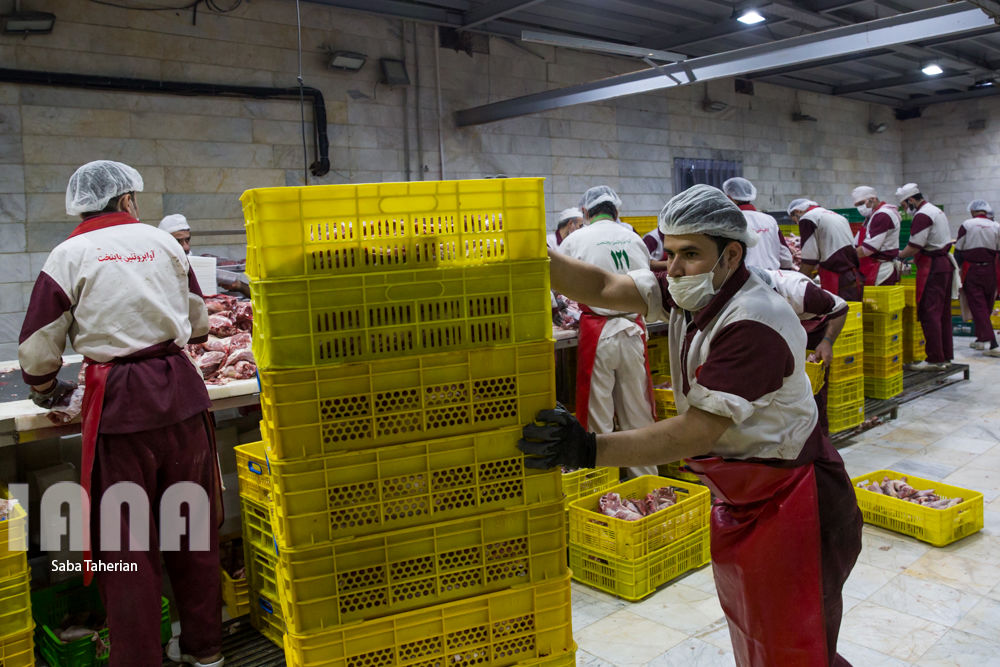 بسته‌بندی محصولات پروتئینی